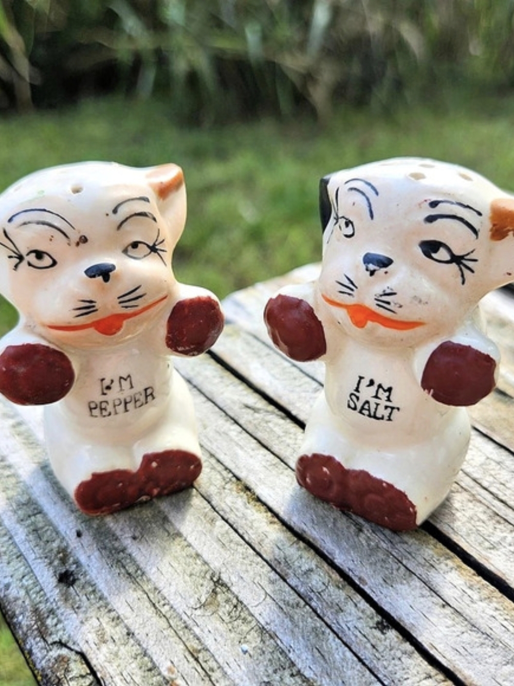 Vintage Kitty Cat Salt and Pepper Shakers Souvenir Chariton IA & Pepper Shakers